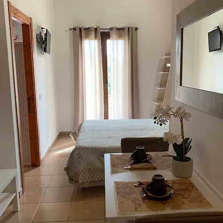 Bed And Breakfast Dolly-3